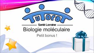 Linstant Piou  Biologie moléculaire [upl. by Nedarb515]