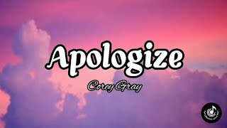 Apologize One RepublicLyrics VideoCorey Gray Song cover [upl. by Anceline]