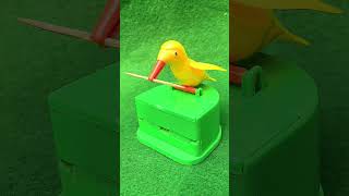 Chunchu Bird 🐦 showing talent  satisfying vedio review funny shorts [upl. by Nels704]