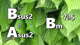 Bbsus2 Asus2 to Bm7b5 Backing Track [upl. by Rowena]