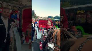 თბილისი❤️🐎tbilisi 🇬🇪 vlog travel tbilisi blogger tbilisivlog trip travel subscribe [upl. by Okikuy]