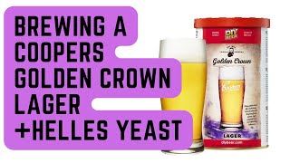 Brewing a Coopers Golden Crown Lager with Helles Lager Yeast [upl. by Nnovahs]