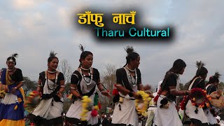 Tharu  Traditional Dance डाँफु नाँच Pokhara Street Festival 2080 [upl. by Garbers248]