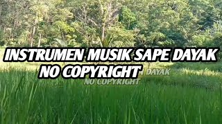 INSTRUMEN SAPE DAYAK  NO COPYRIGHT 2021 [upl. by Montgomery]