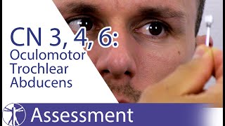 Cranial Nerves 3 4 6 Examination  Oculomotor Trochlear Abducens Nerve Physiotherapy Assessment [upl. by Acsehcnarf]