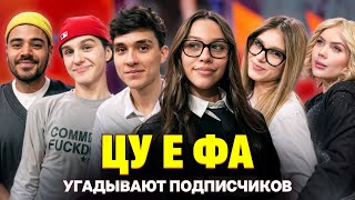 Подписчик Поборол Рак ЦУ Е ФА на шоу Кросс и Каграманова Кто твой подписчик [upl. by Nue]