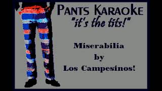 Los Campesinos  Miserabilia karaoke [upl. by Russo]