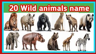 20 wild animals name in english with pictures  wild animals name  animals name [upl. by Raeann]