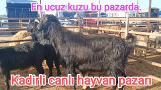 04Nisan2024 Kadirli canlı hayvan pazarı [upl. by Randa754]