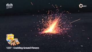 Wolff Vuurwerk 1237 Crackling Ground Flowers [upl. by Haissem]