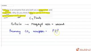 RuBisCo is an enzyme that acts both as a carboxylase and oxygenase Why do you think RuBisCo car [upl. by Lattonia]