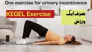 Pelvic floor exercise for urinary incontinence pelvic floor strengthening exercise [upl. by Garlen]