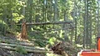 Logging Downhill Yarding with a Madill 071 yarder [upl. by Aivila]