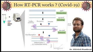 All about realtime PCR qRTPCR How it works Made Easy [upl. by Esoranna]