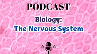 Biology The Nervous System [upl. by Daniell]