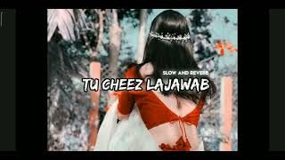 tu cheez lajawab slowed and reverb lofi mix [upl. by Rubi]