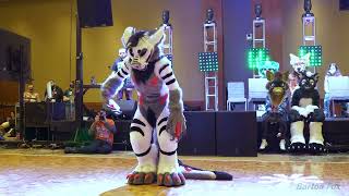 Anthro New England 2024  Dance Competition  Kire [upl. by Inglis]