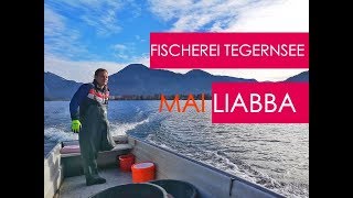 Fischerei Tegernsee  Fish Wine Champagne and Fun [upl. by Enitsuga]