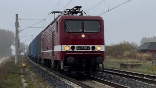 Zwei vernebelte Ladys lassen grüßen Herbststimmung extrem [upl. by Nillor]