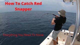 How To Catch Red Snapper The Start To Finish Guide Be Prepared For Snapper Season Fishing Spots [upl. by Buller]