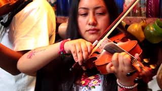 Música Purépecha 🥇▷ Música Tradicional Michoacana Orquesta de Pichátaro Michoacán [upl. by Narhet]