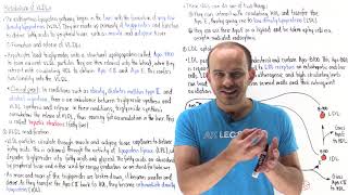 Metabolism of very lowdensity lipoproteins endogenous lipoprotein pathway [upl. by Ainival]