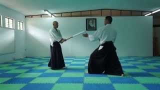 Aikido VS Kendohitting cut style [upl. by Nageek]