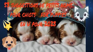 🥰🐶 quel petit nom pour mon chiot  for my puppy 53suggestions de prénoms chiots pour 2023 en U [upl. by Wickham]