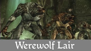 Dragon Age Origins Playthrough Part 22  Into The Werewolf Lair 1080P HD [upl. by Violetta]