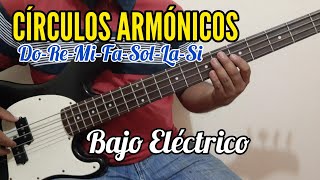 CÍRCULOS Armónicos de Todas Las NOTAS en Bajo Eléctrico [upl. by Ritch380]