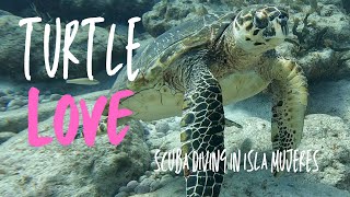 Episode 16 Turtle LoveScuba Diving in Isla Mujeres [upl. by Souvaine676]