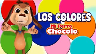 MI PERRO CHOCOLO APRENDE  LOS COLORES EN ESPAÑOL E INGLÉS [upl. by Meeharb304]