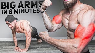 Build Big ARMS in 8 Minutes AT HOME NO EQUIPMENT [upl. by Anyalram]