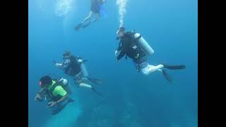 Abbate Family Scuba 7th Dive 60 Feet Jamaica [upl. by Anirahs]