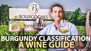 The Wine Classification System of Burgundy  Explained [upl. by Yerrok69]