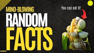 MindBlowing Random Facts That Will Melt Your Brain [upl. by Ylloj337]