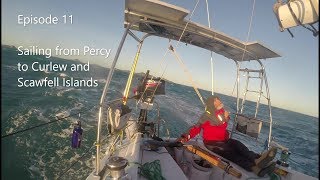 Episode 11 Sailing from Percy to Curlew then Scawfell Islands [upl. by Oflodor304]