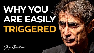 How to understand amp heal your trauma  Gabor Maté [upl. by Lennad38]