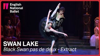 Swan Lake Odile and Prince Siegfried pas de deux  English National Ballet [upl. by Nyllij]