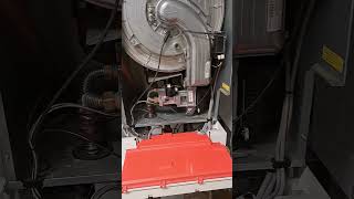 viessmann boiler cleaning 1 [upl. by Rosabella]