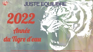 2022 année du Tigre deau [upl. by Rosenblast]