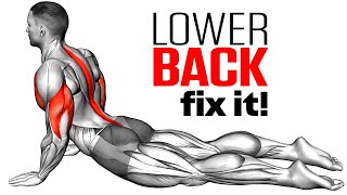 Exercises To Reduce Lower Back Pain [upl. by Fidelity]