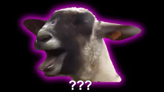 15 Screaming Goat Sound Variations in 30 Seconds [upl. by Enylhsa]