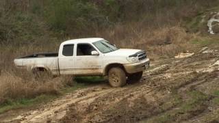 2001 Tundra 4x4 Mudding 16 [upl. by Ahseena]