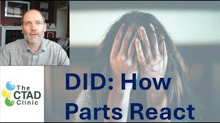 DID How Parts React [upl. by Bondy]