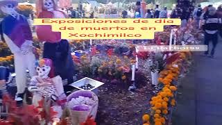 Día de muertos en Xochimilco [upl. by Llerdnam]