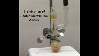 Bromination lab Acetanilide brominationAniline brominationAnisole bromination [upl. by Shea728]