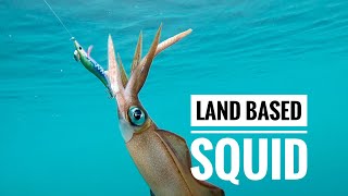 LAND BASED Squid NZ [upl. by Okoyik]