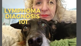 What We Did When Our Dog Got Lymphoma Diagnosis Reaction  Canine Lymphoma Vlog Part 1 [upl. by Mario]