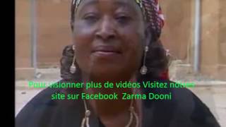 Niger Danse Zarma Bitti [upl. by Ellebasi]